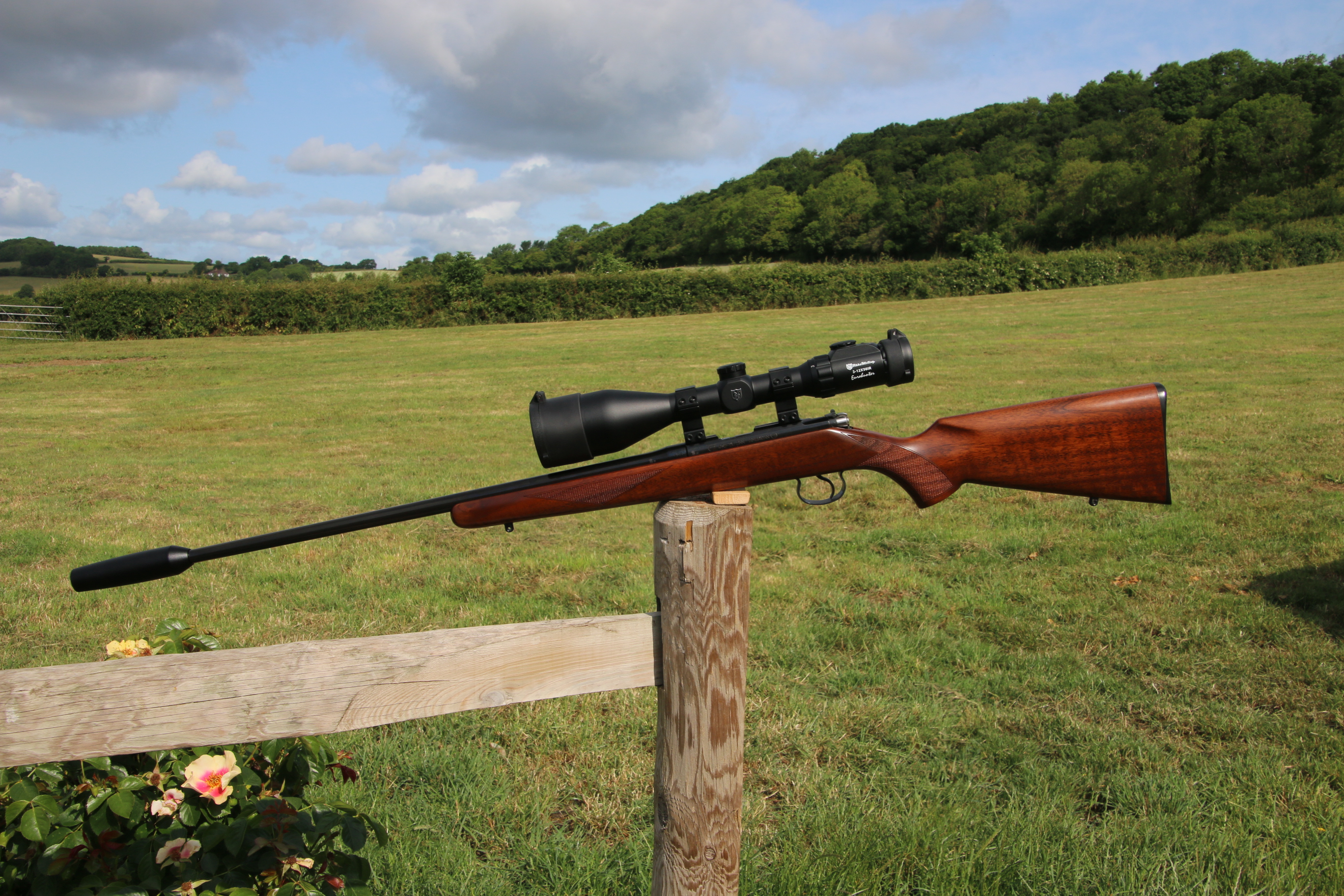 Gun_Image