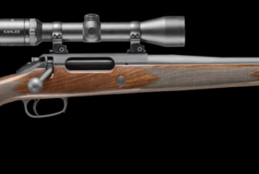 DEFAULT_GUN