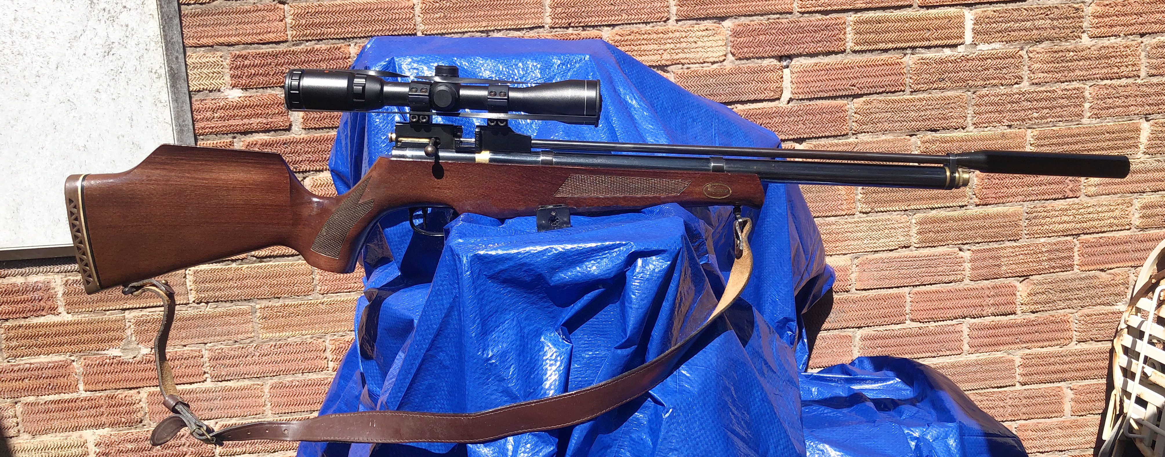 Gun_Image