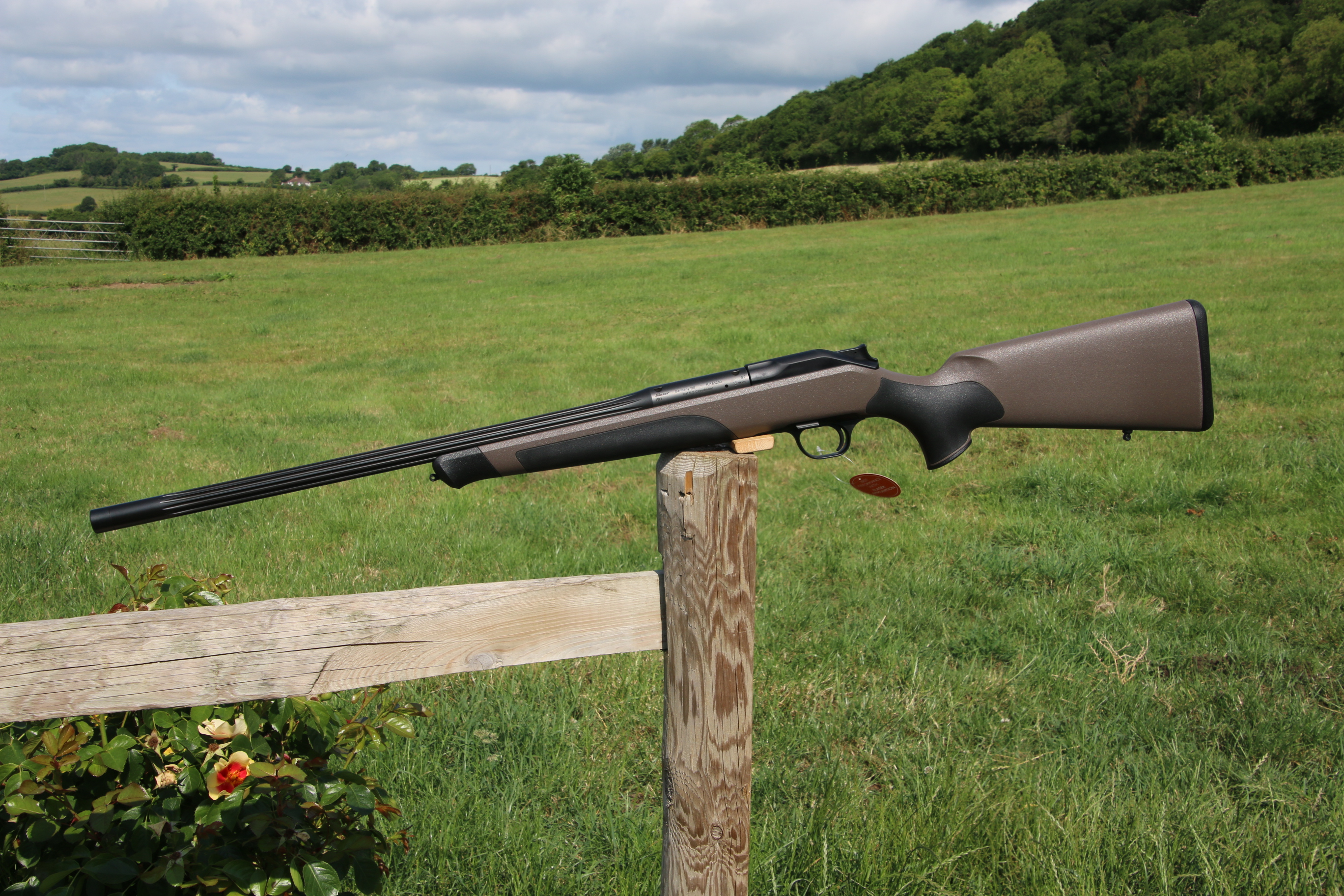 Gun_Image
