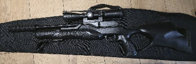 Gun_Image