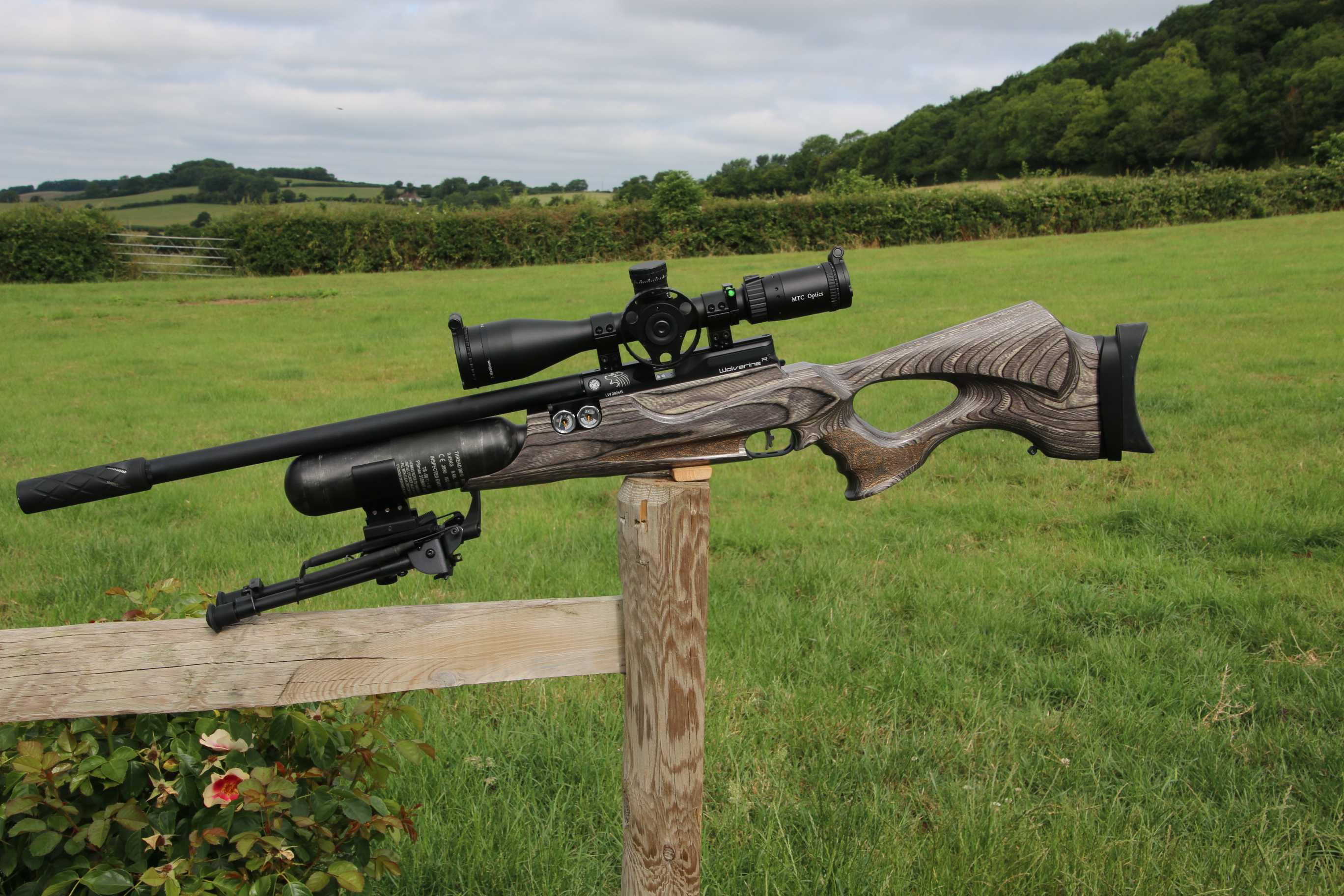 Gun_Image