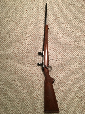 DEFAULT_GUN