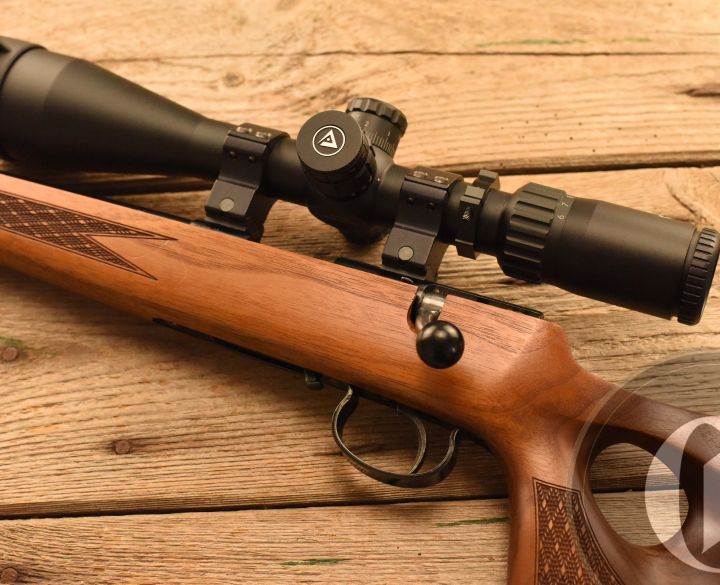 Gun_Image