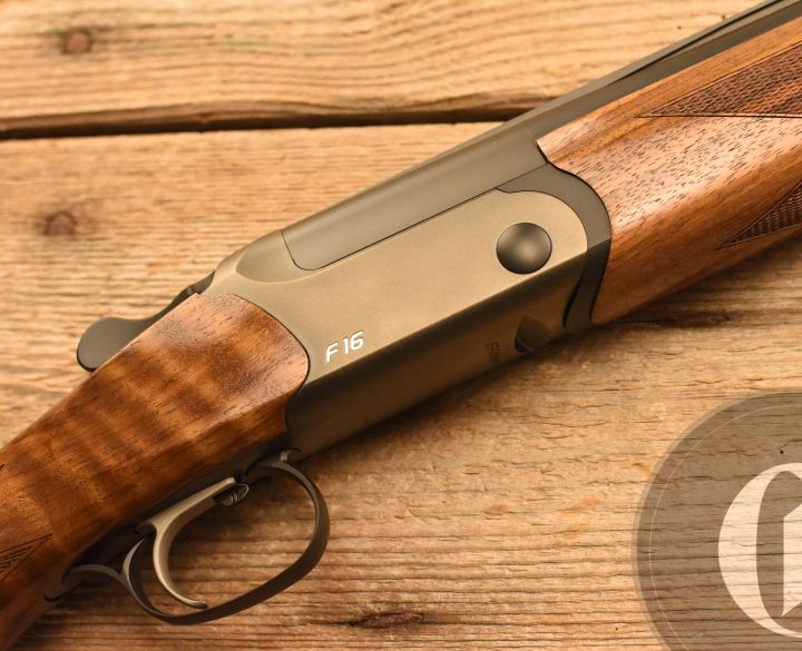 Gun_Image