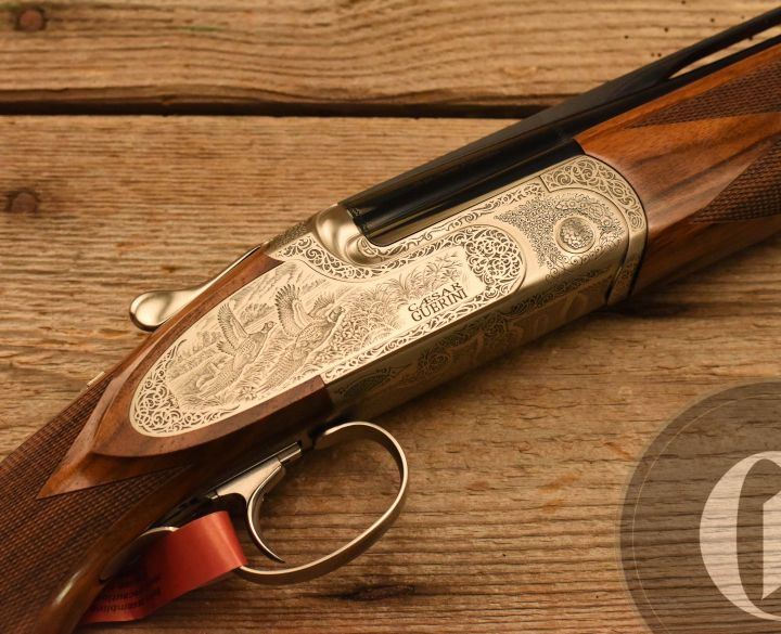 Gun_Image