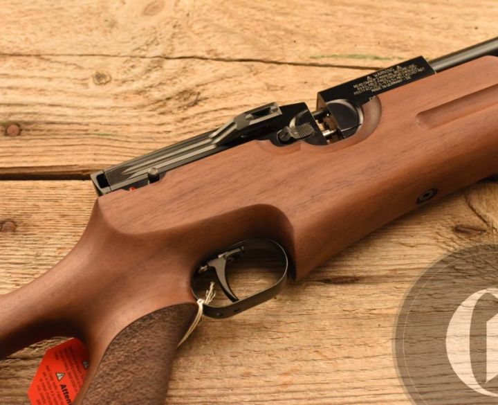 Gun_Image