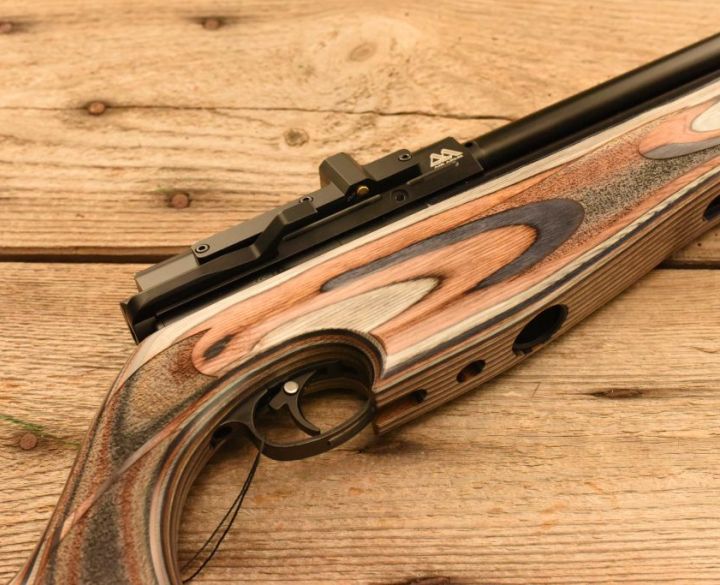 Gun_Image