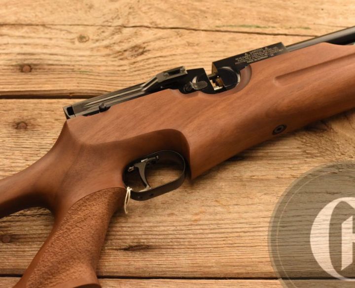 Gun_Image