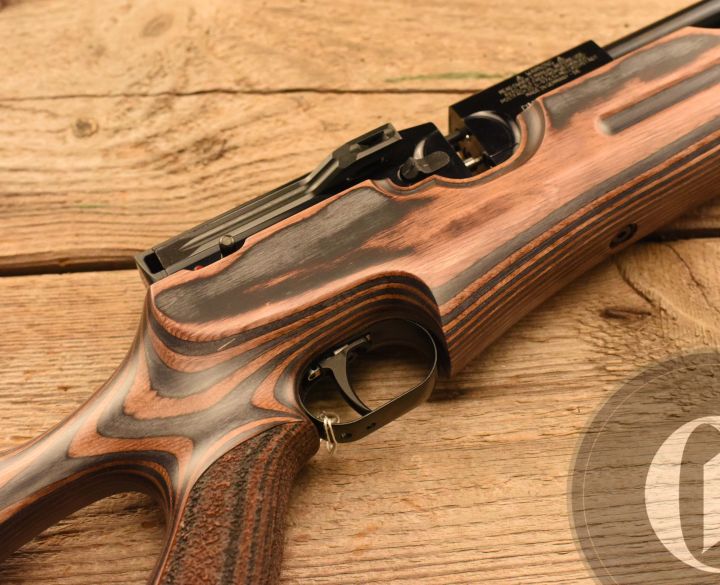 Gun_Image