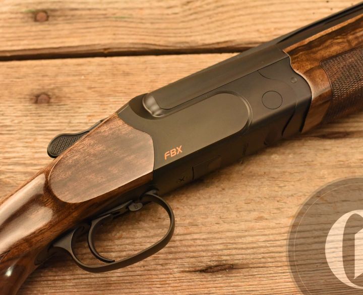 Gun_Image