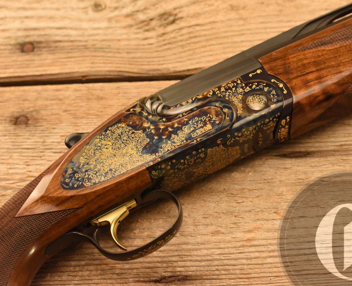 Gun_Image
