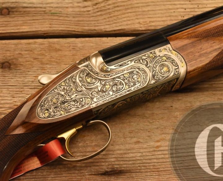 Gun_Image
