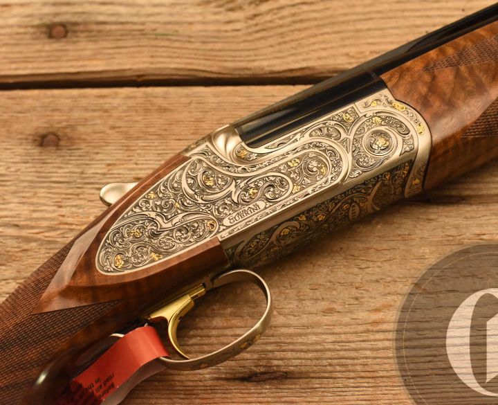 Gun_Image