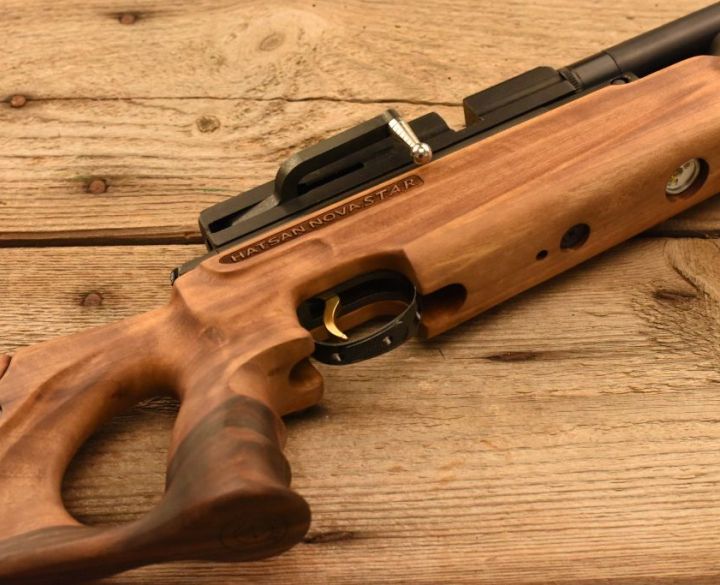 Gun_Image