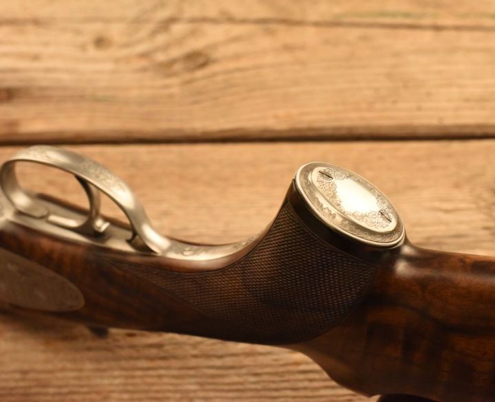 Gun_Image