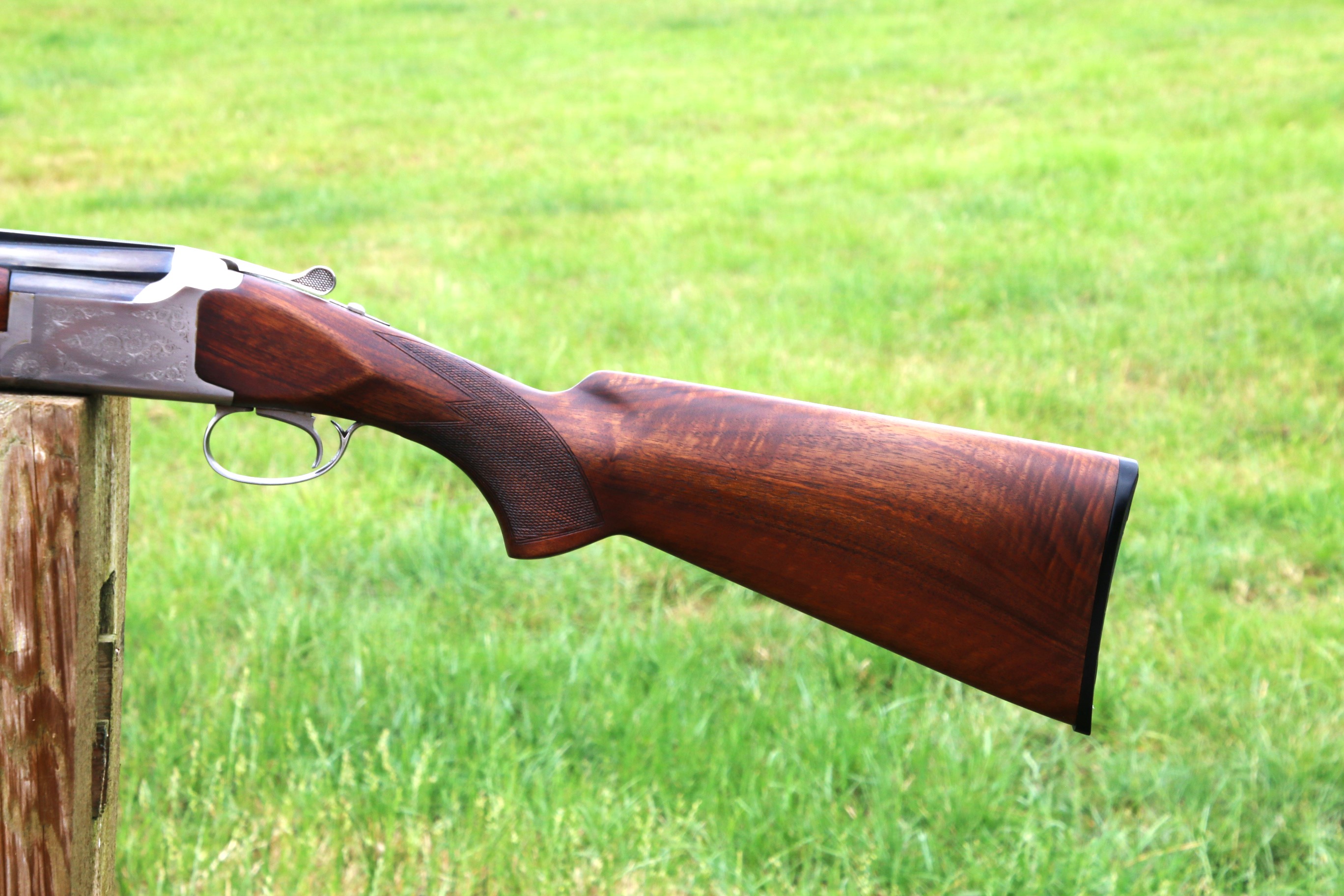 Gun_Image