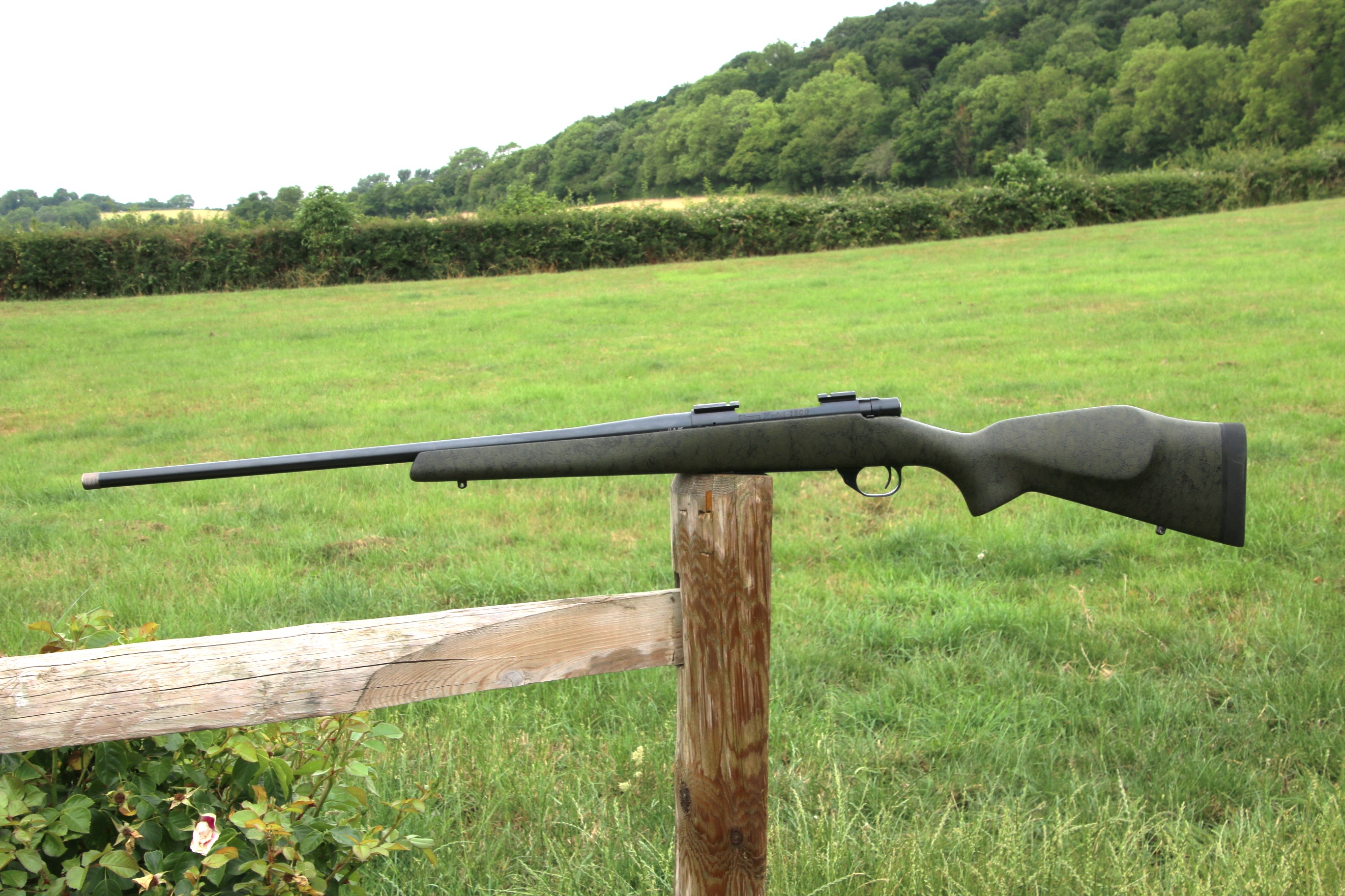 Gun_Image