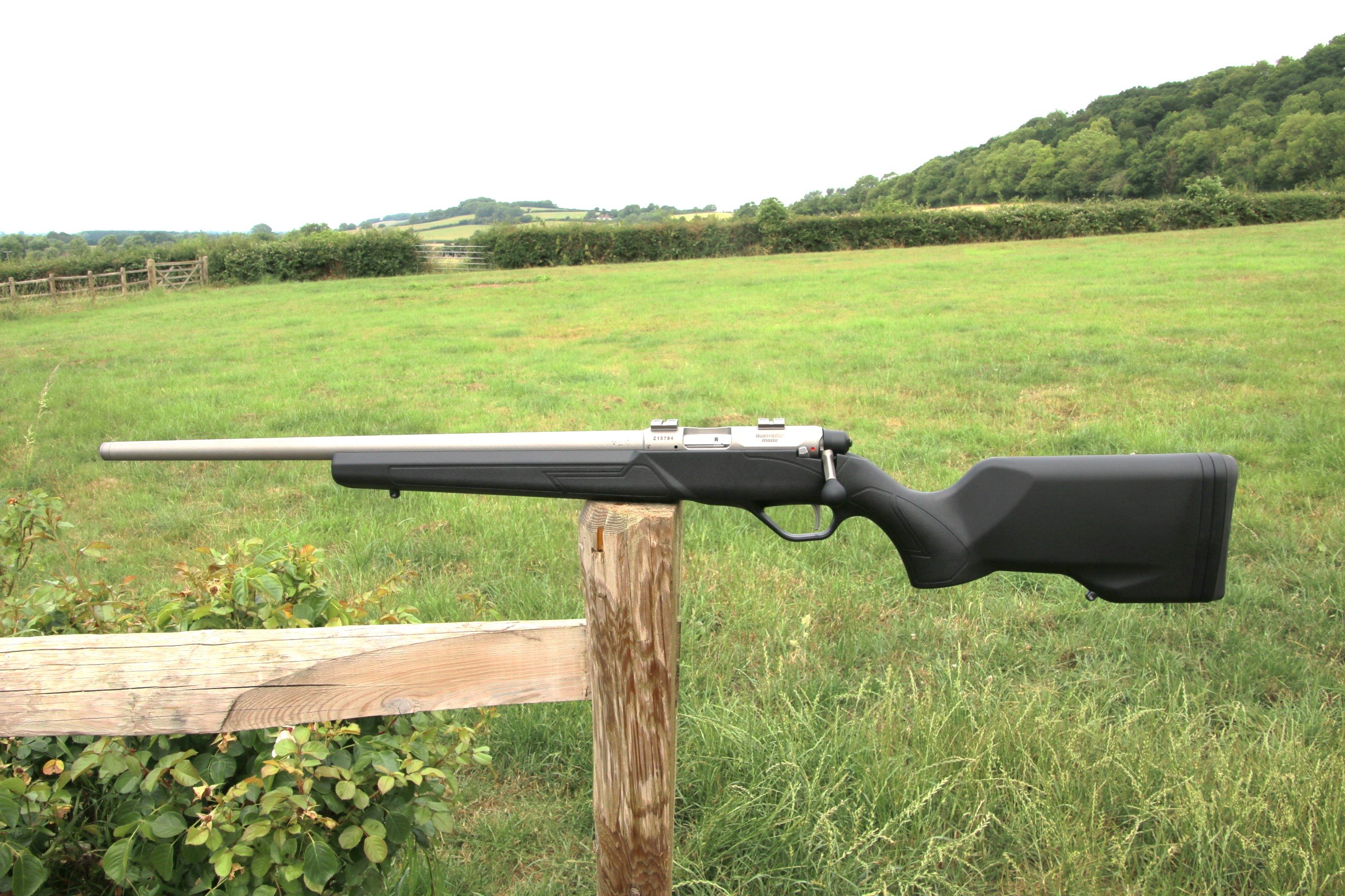 Gun_Image
