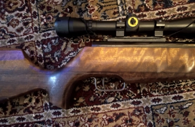DEFAULT_GUN