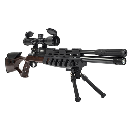 Gun_Image