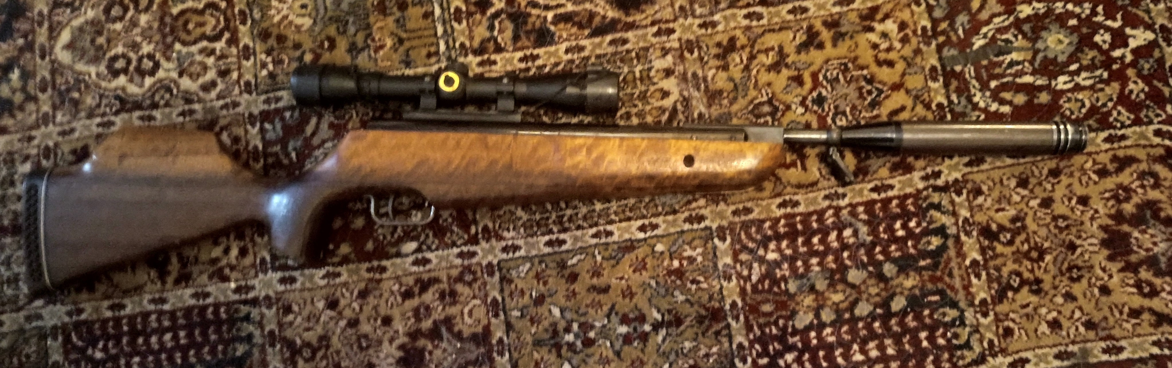 Theoben Fenman 22