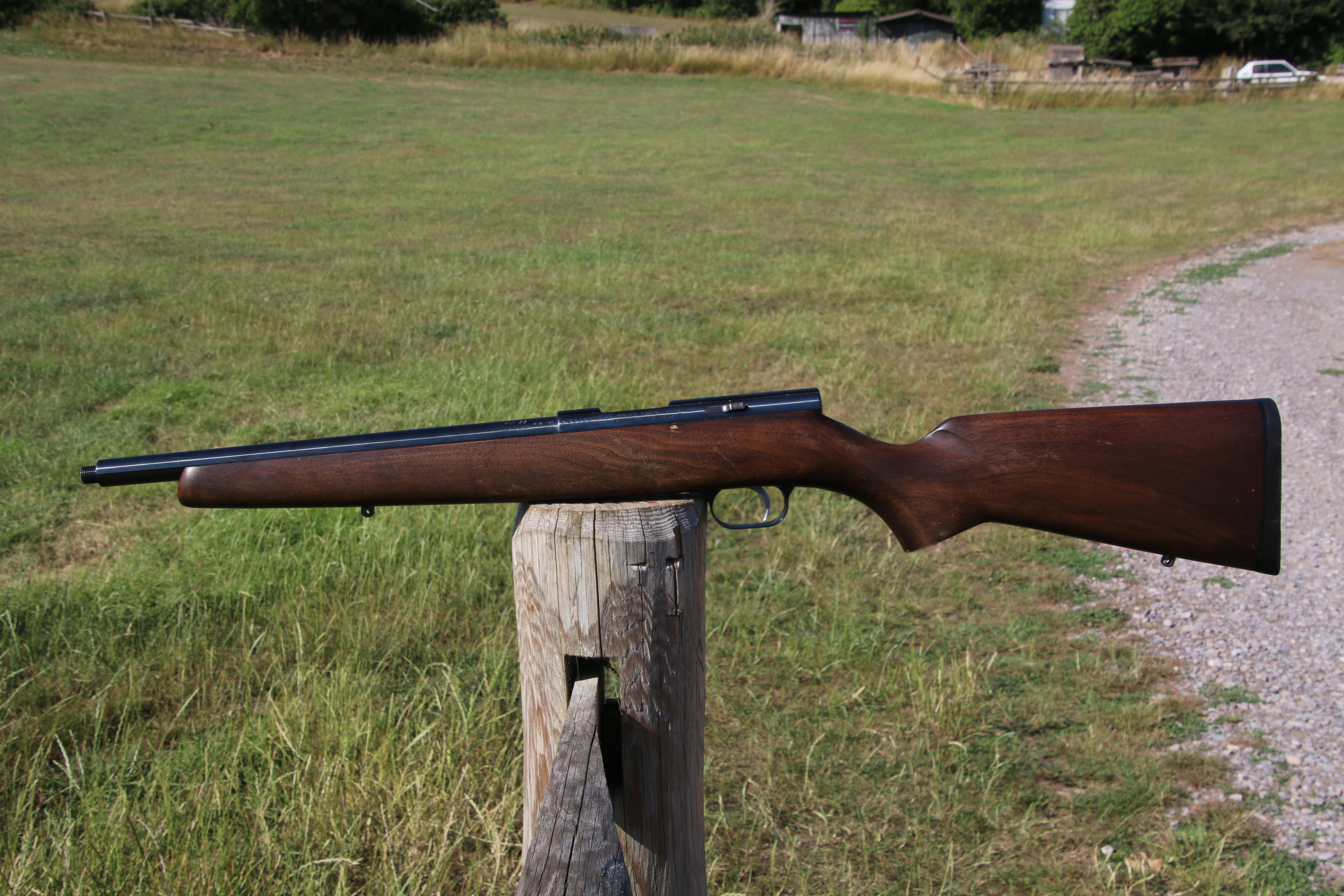 Gun_Image