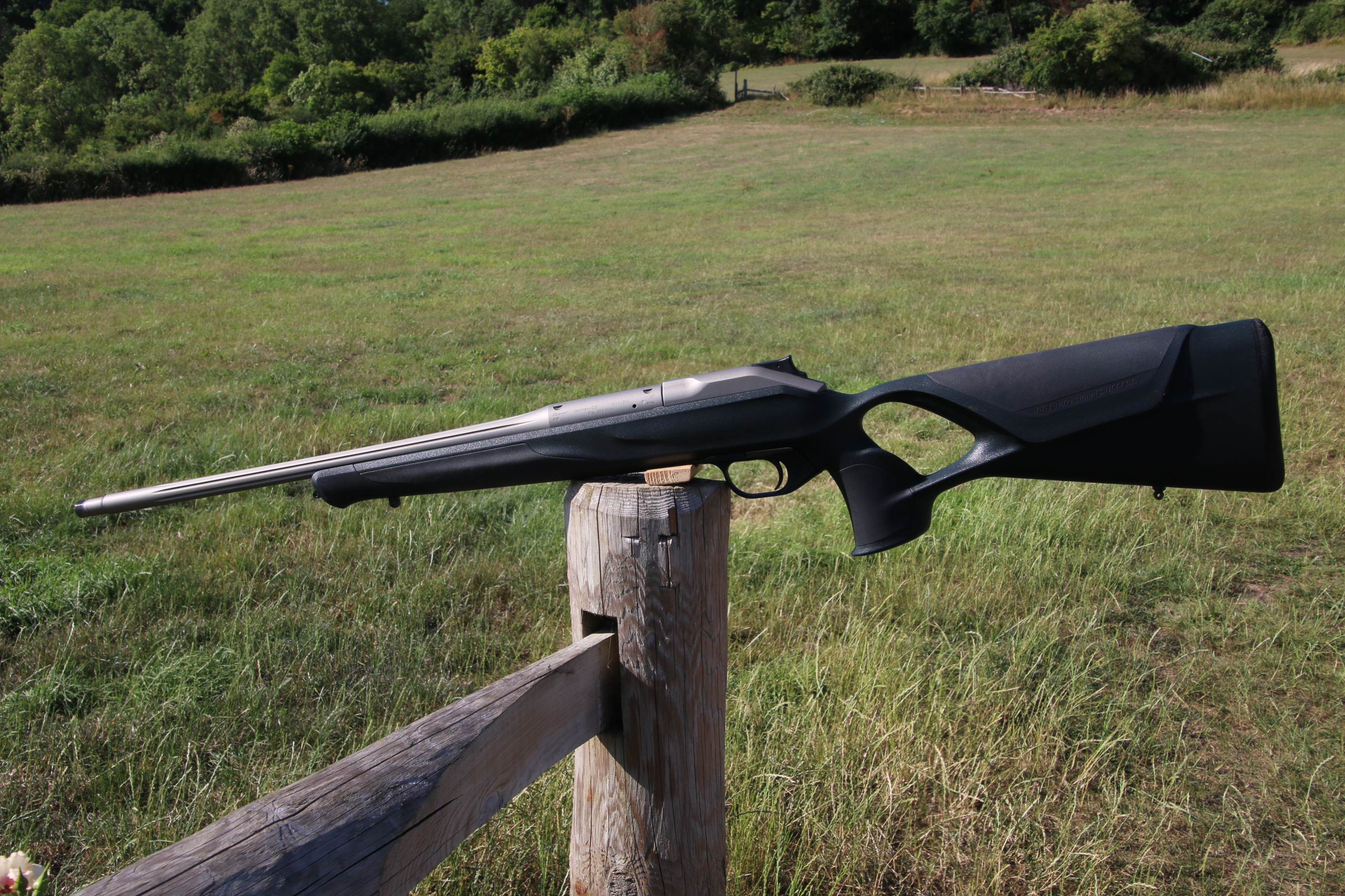 Gun_Image