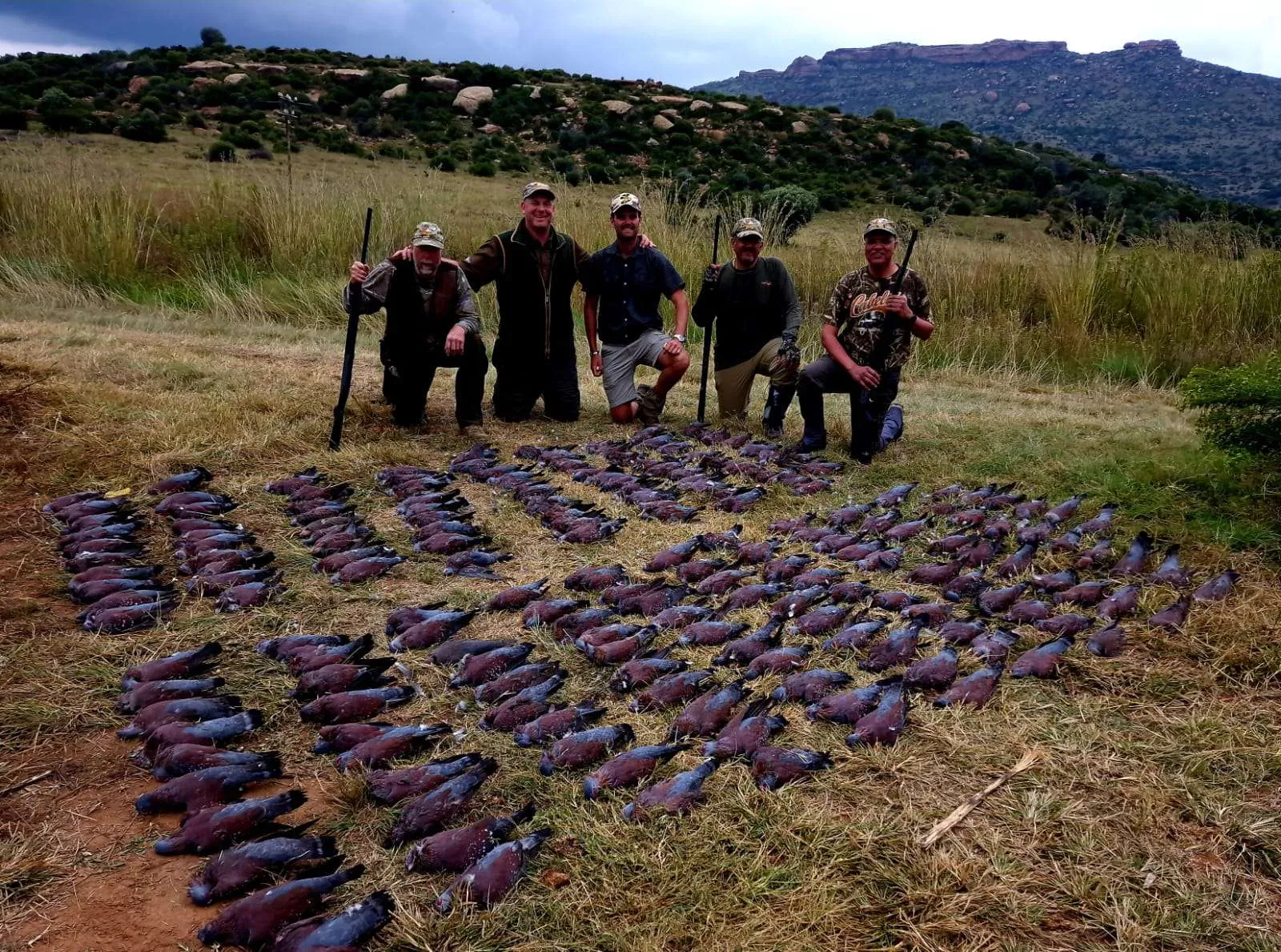 Pigeon Shooting in South Africa