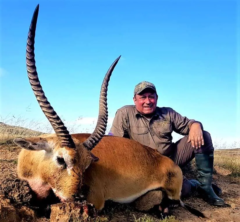 Hunting Plains Game South Africa