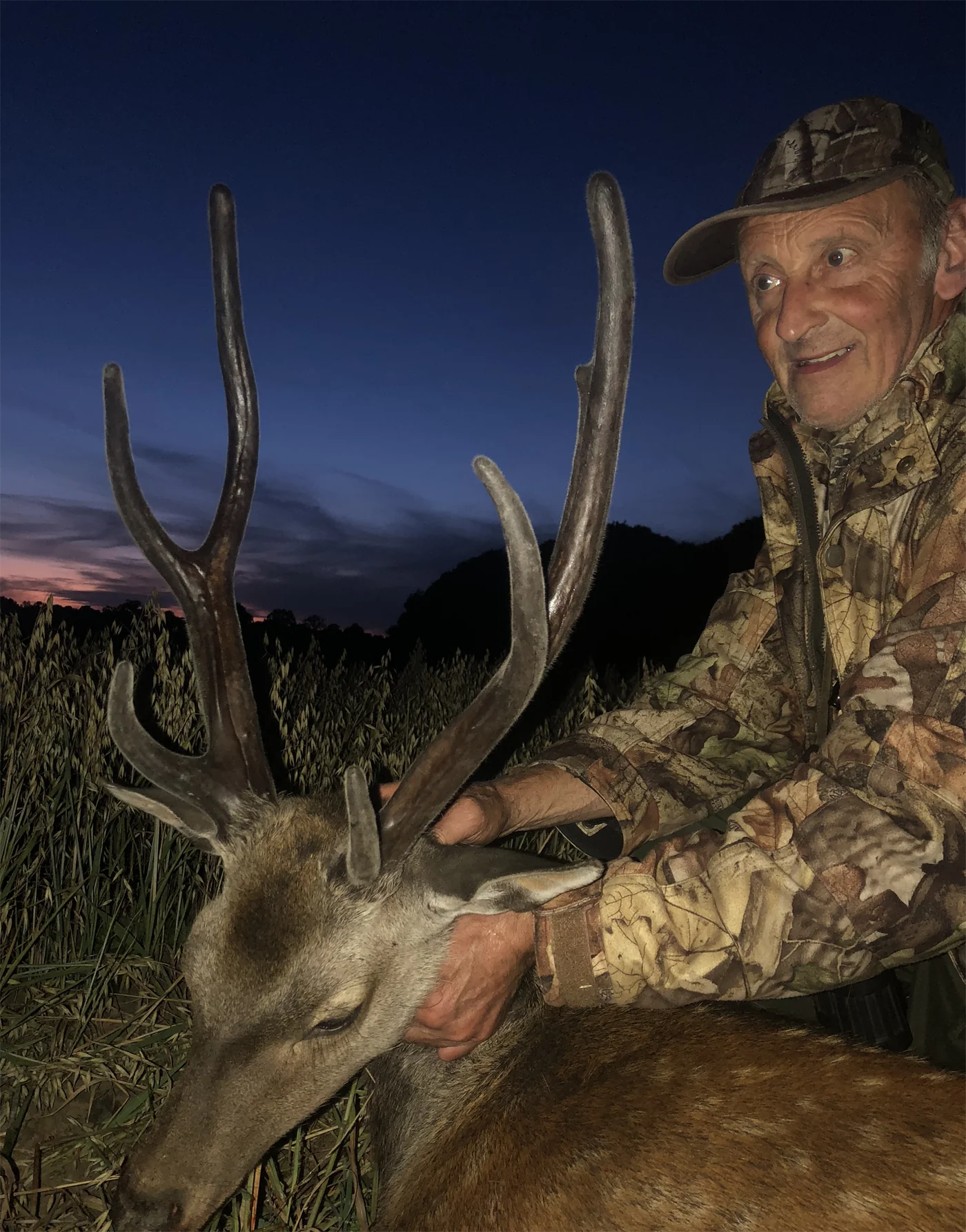 Deer Stalking & Wild Boar Syndicate in Forest Of Dean