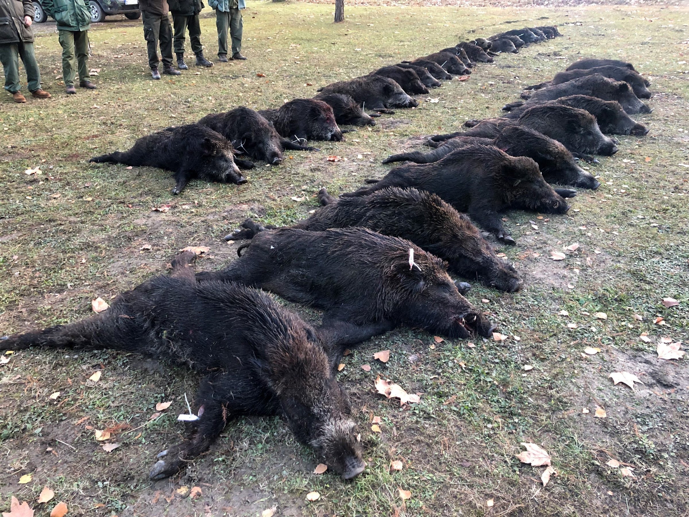 Serbia Trips - 2026 Season