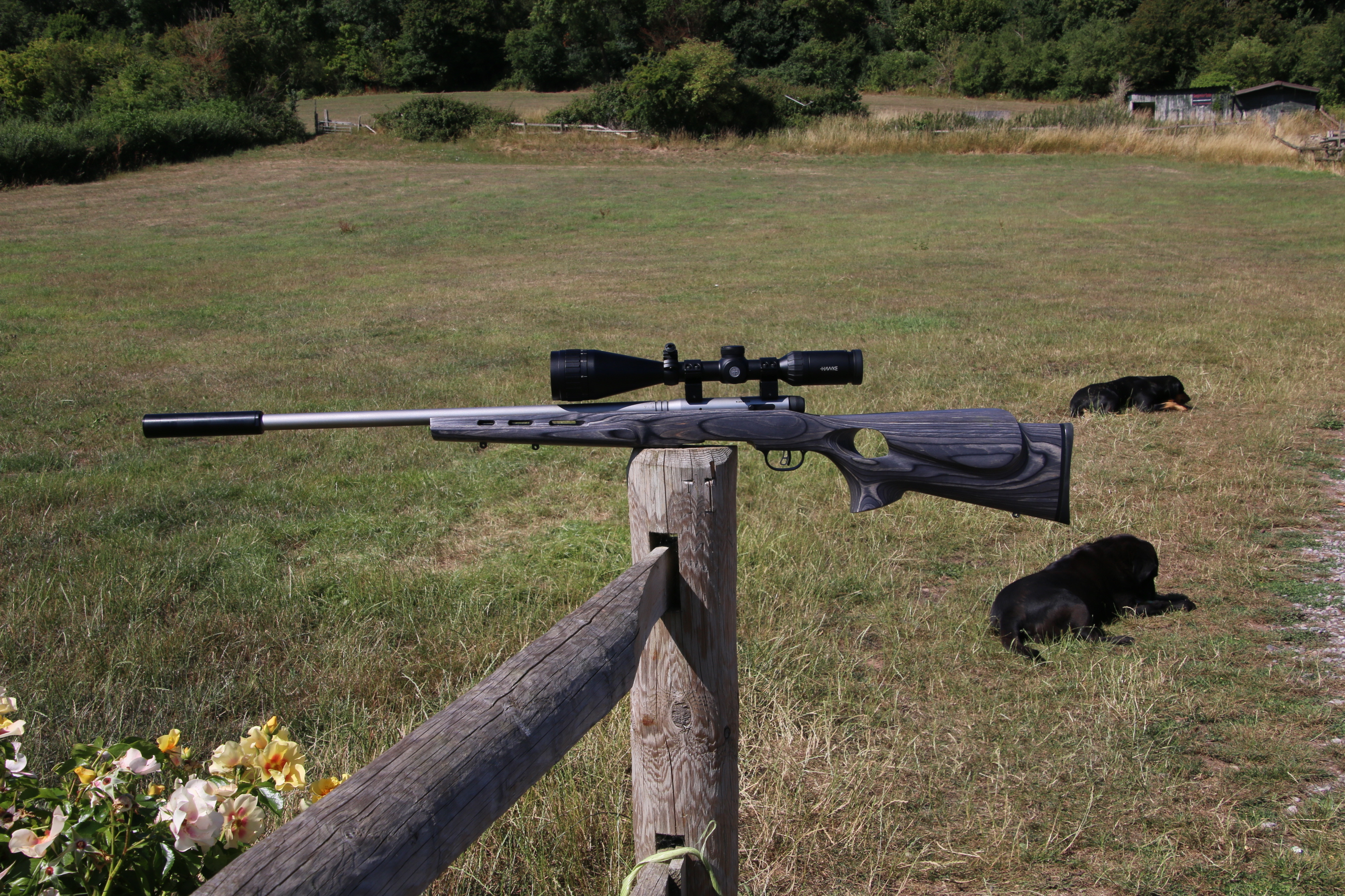 Gun_Image