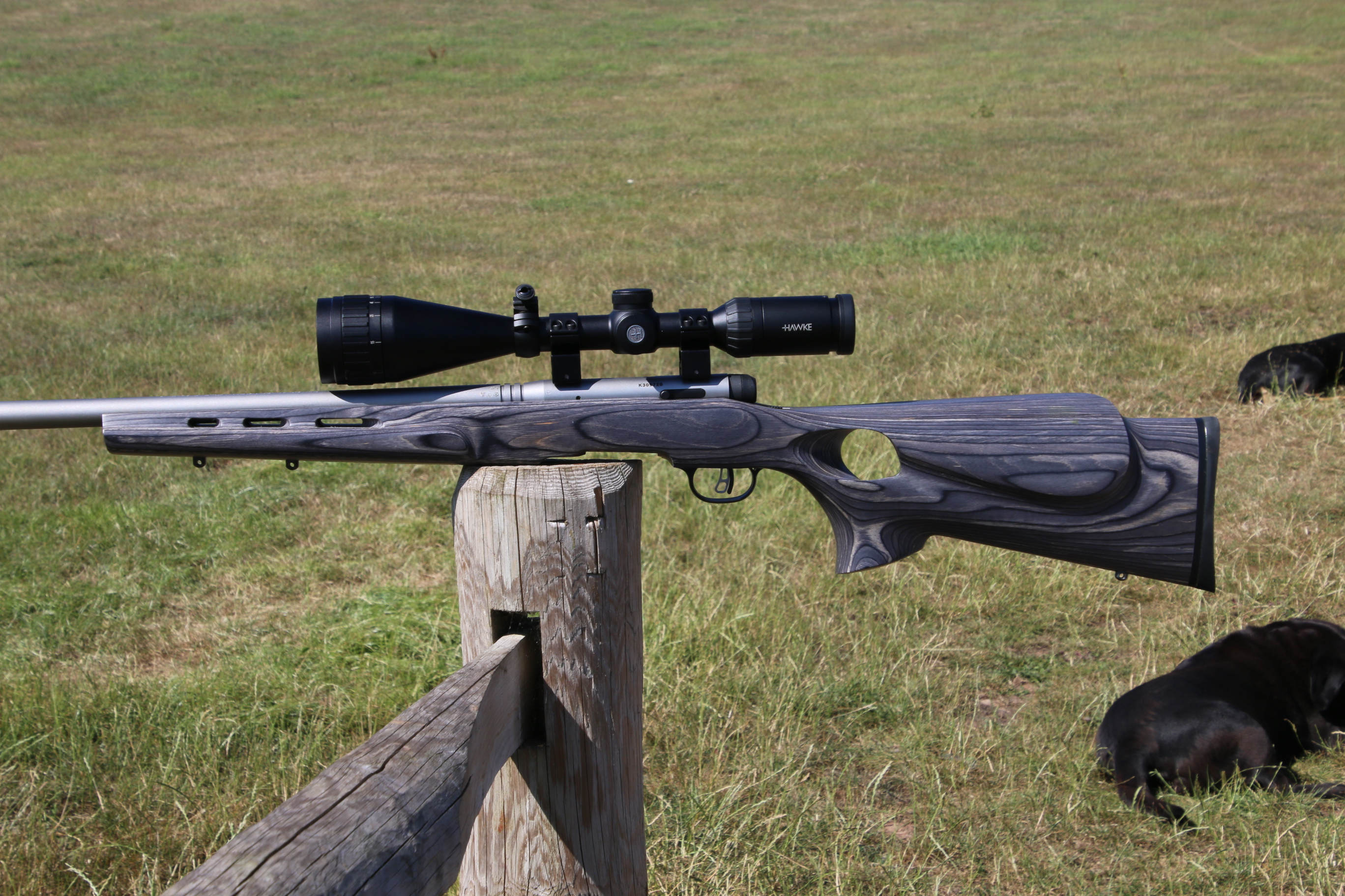 DEFAULT_GUN