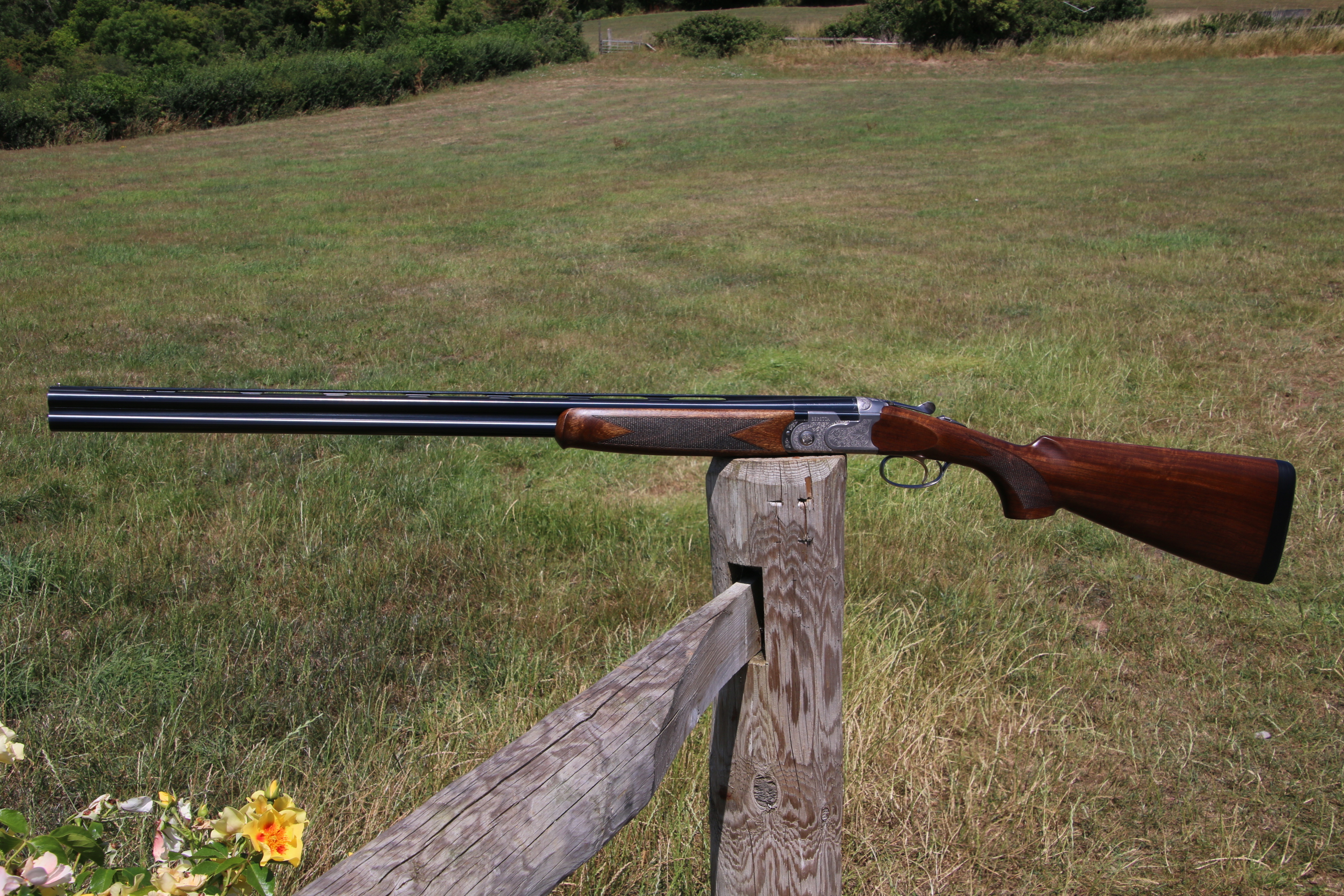 Gun_Image