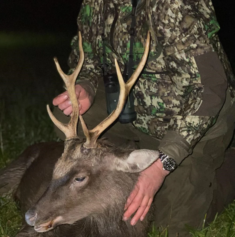 Deer Stalking & Wild Boar Syndicate in Forest Of Dean