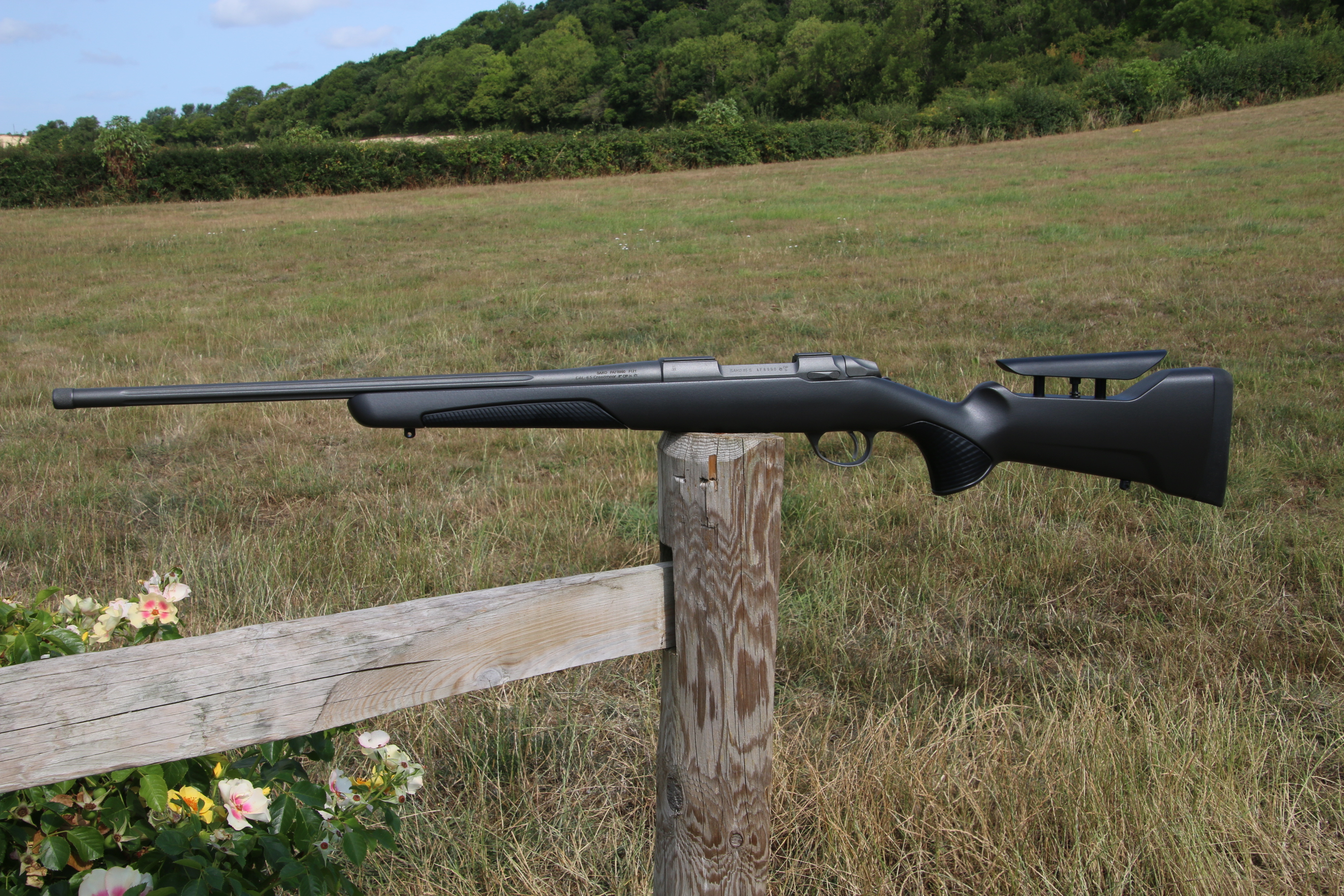 Gun_Image
