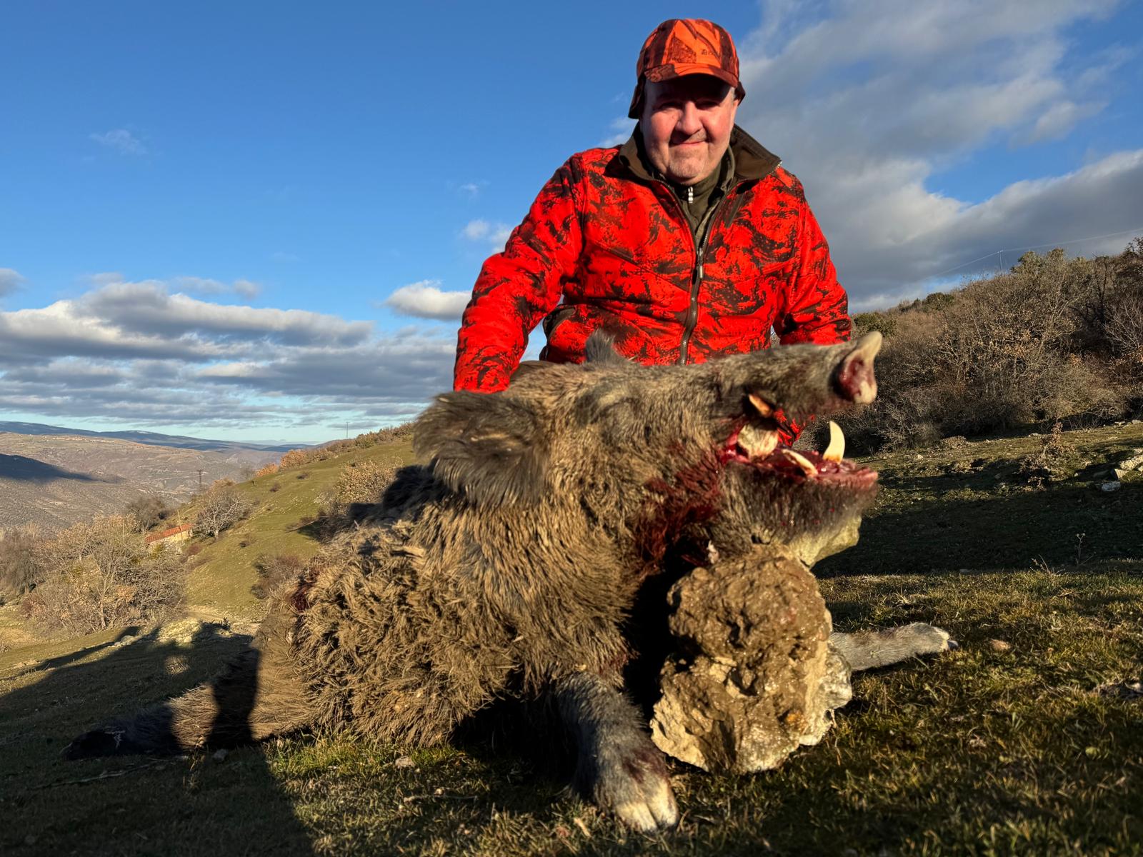 Driven Wild Boar Hunting in Turkey / Turkiye 2026