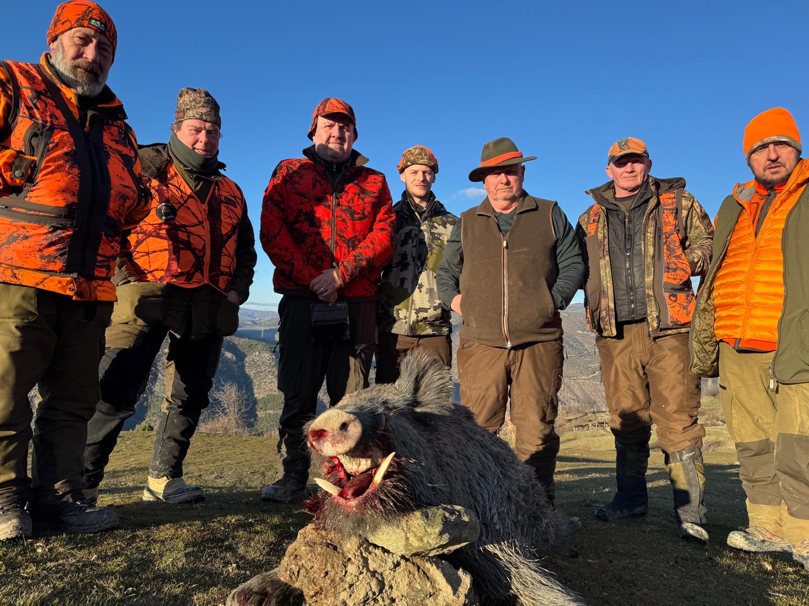 Driven Wild Boar Hunting in Turkey / Turkiye 2026