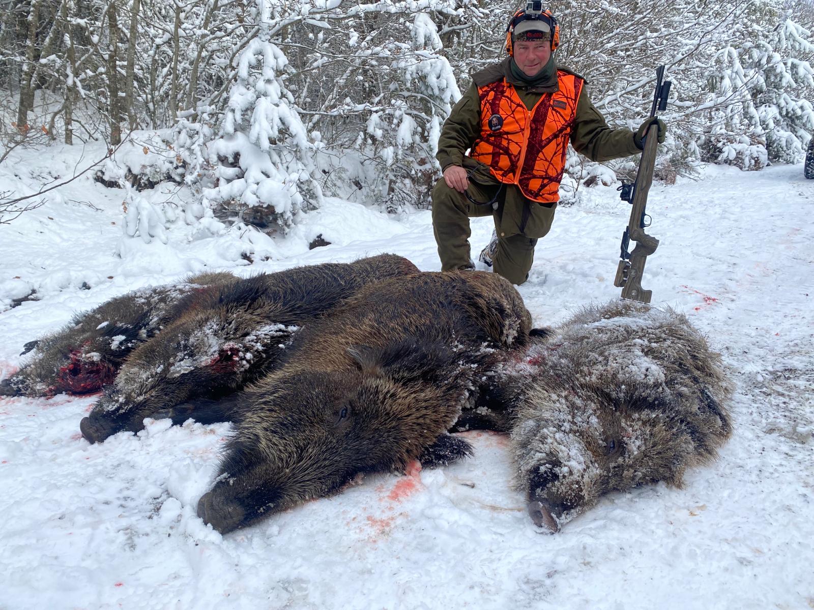 Driven Wild Boar Hunting in Turkey / Turkiye 2026
