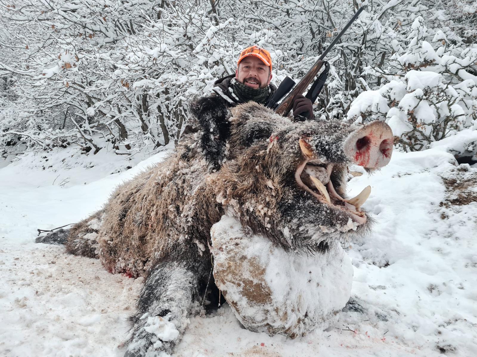 Driven Wild Boar Hunting in Turkey / Turkiye 2026