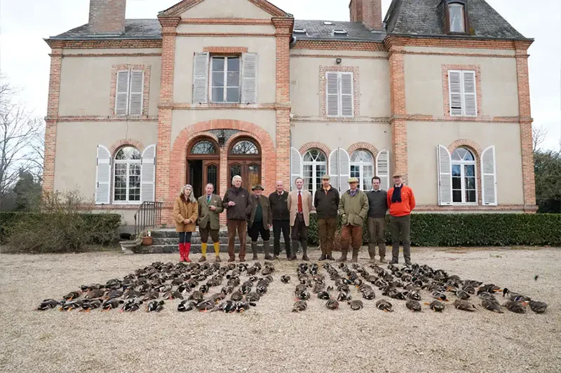 Driven Wild Boar France March 2026