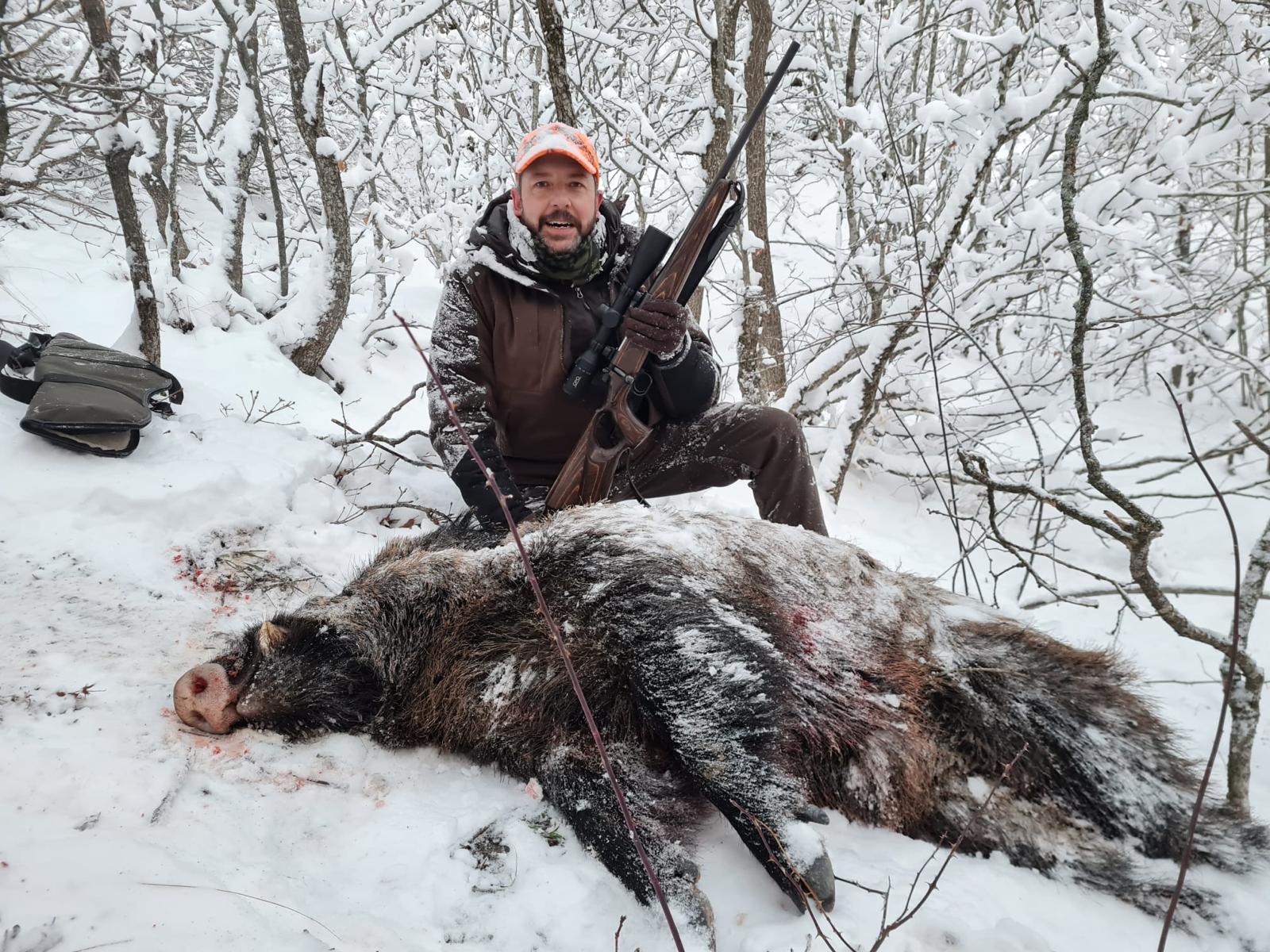 Driven Wild Boar Hunting in Turkey / Turkiye 2026