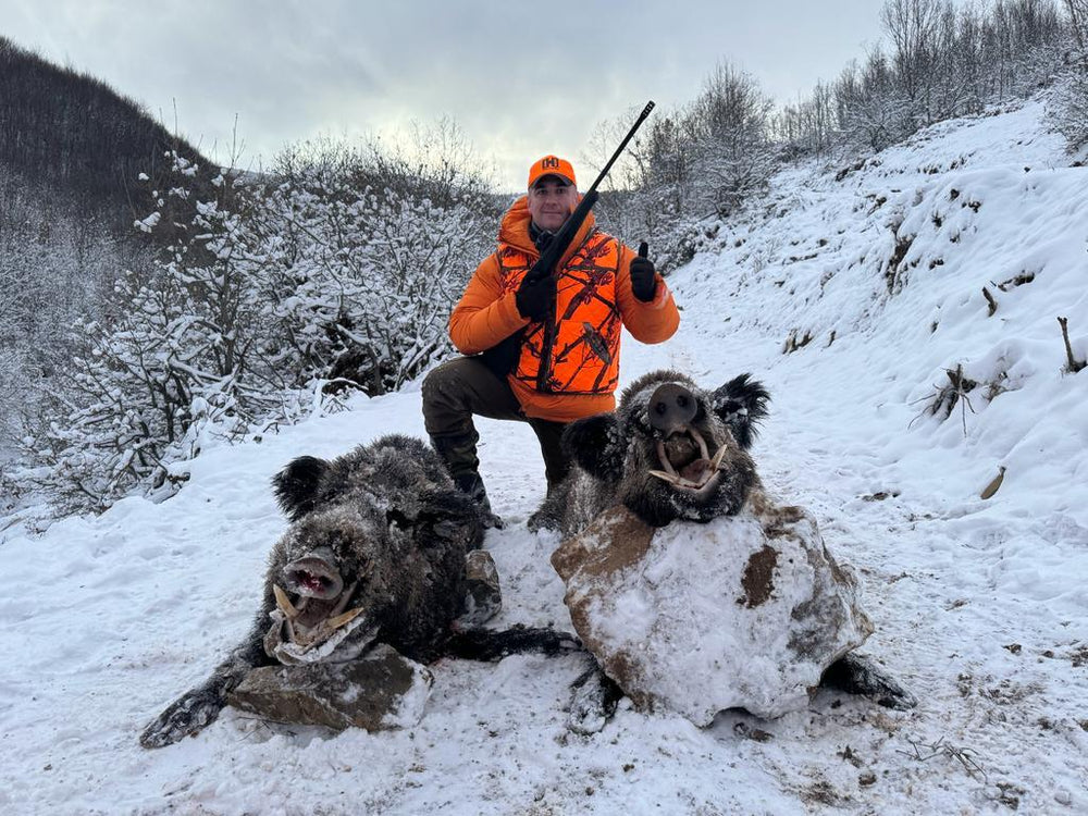 Driven Wild Boar Hunting in Turkey / Turkiye 2026