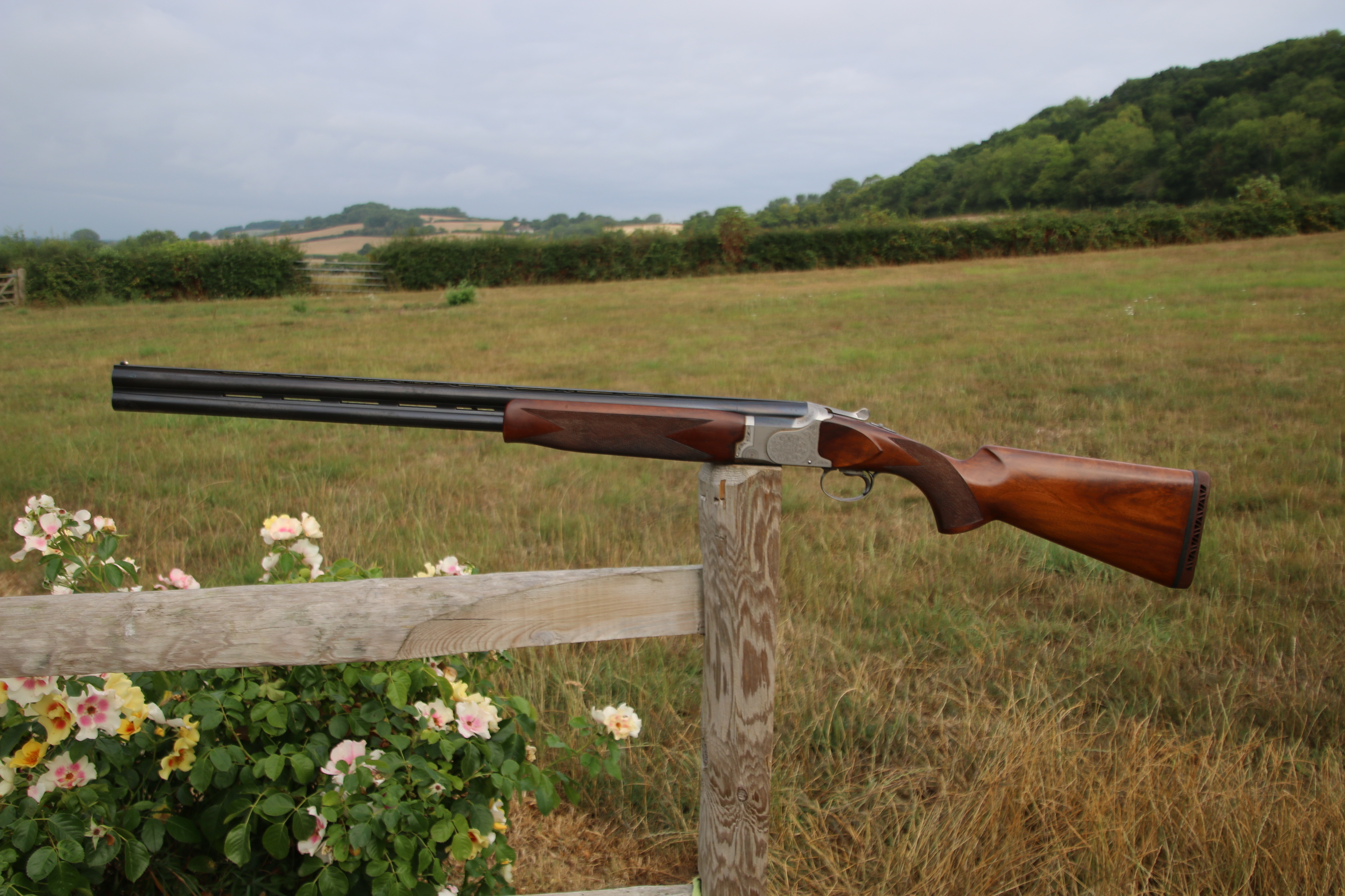 Gun_Image