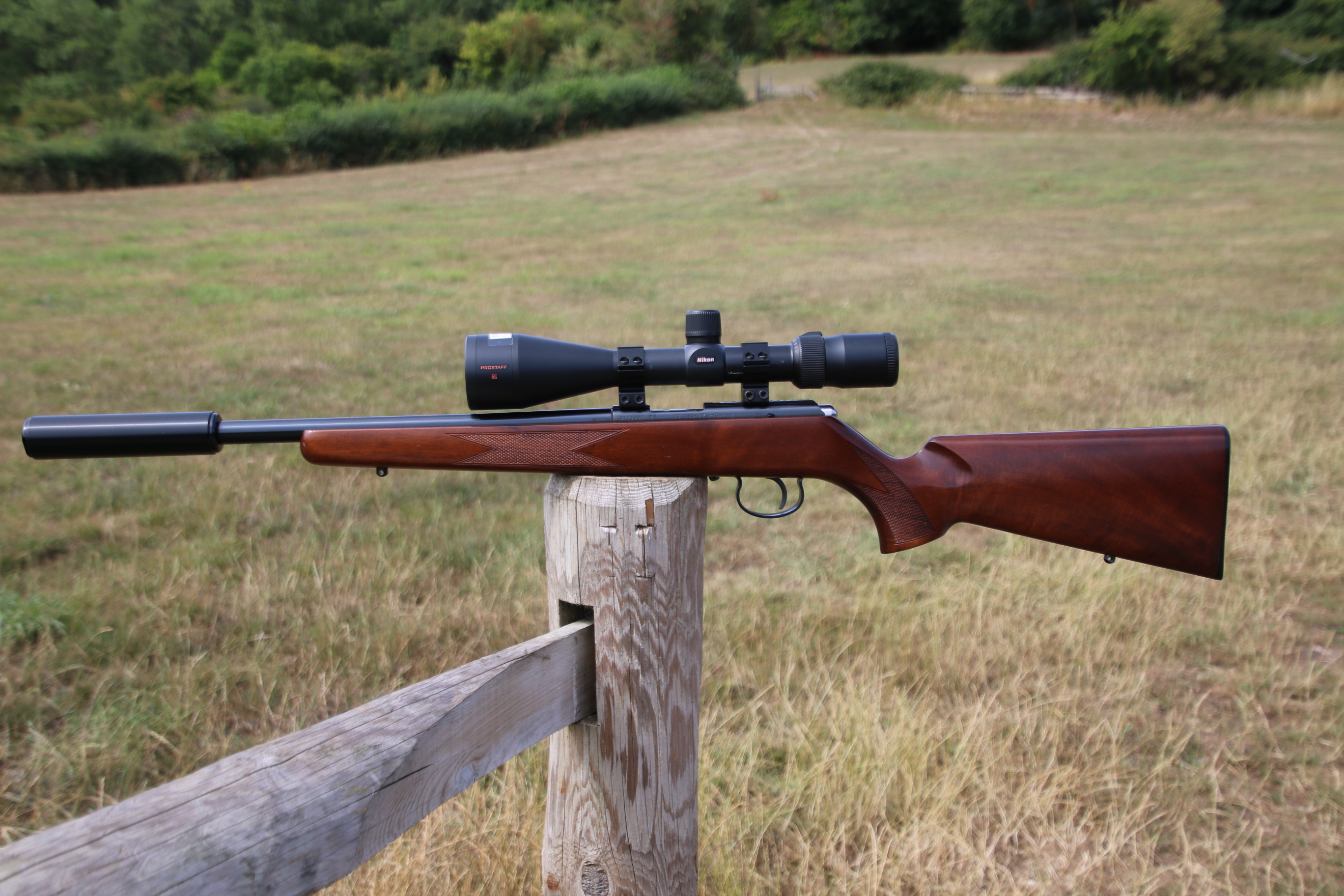 Gun_Image