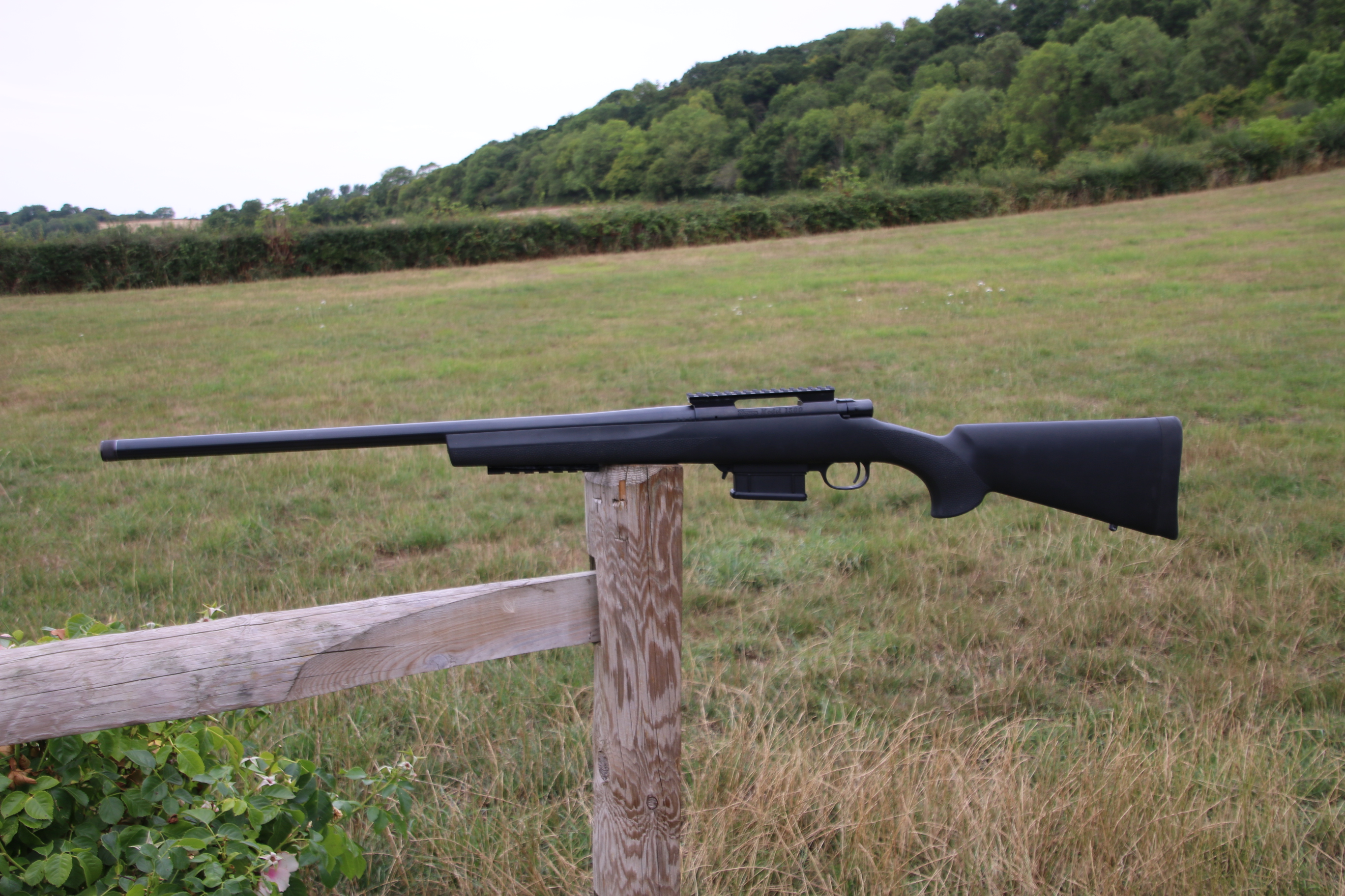 Gun_Image