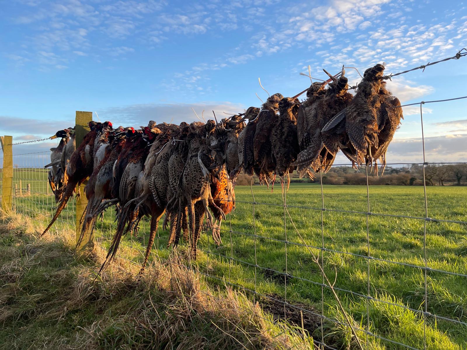 Driven Snipe & Woodcock Shooting Days with Yokehouse Shoot