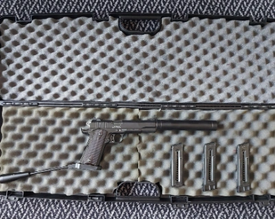 Firearm: GSG 1911 Tactical