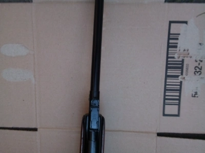 Firearm: Diana 25  